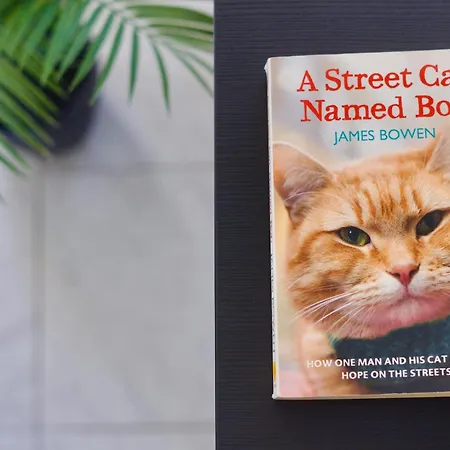 El Gato * Costa Del Silencio