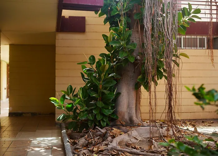 Apartament El Gato *