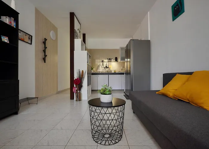 Apartamento El Gato *