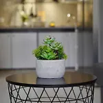 Apartament El Gato