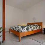 El Gato