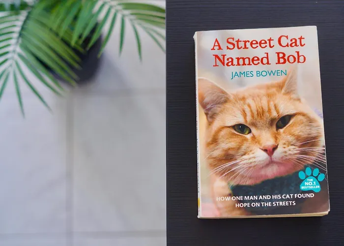 El Gato * Costa Del Silencio