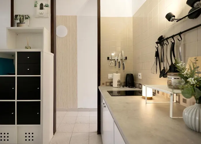 El Gato * طوستا ديل سيلونثيو