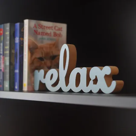 El Gato *